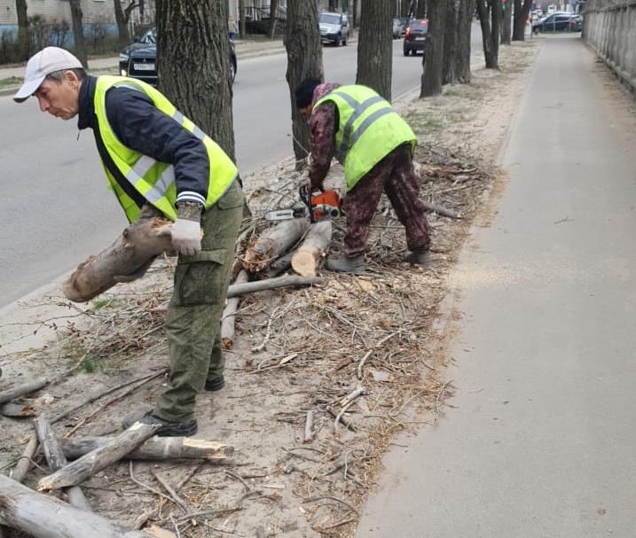 В Железнодорожном районе на санитарный день вышли 1700 жителей