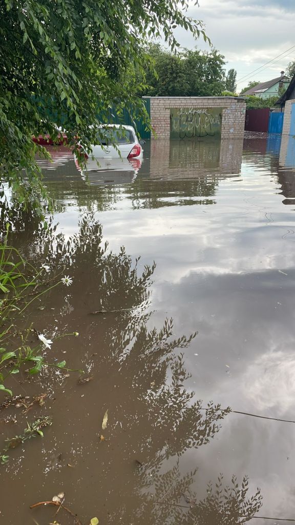 IMG-20220613-WA0013.jpg IMG-20220613-WA0013.jpg