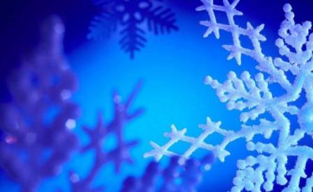 Новогодние концерты.JPG