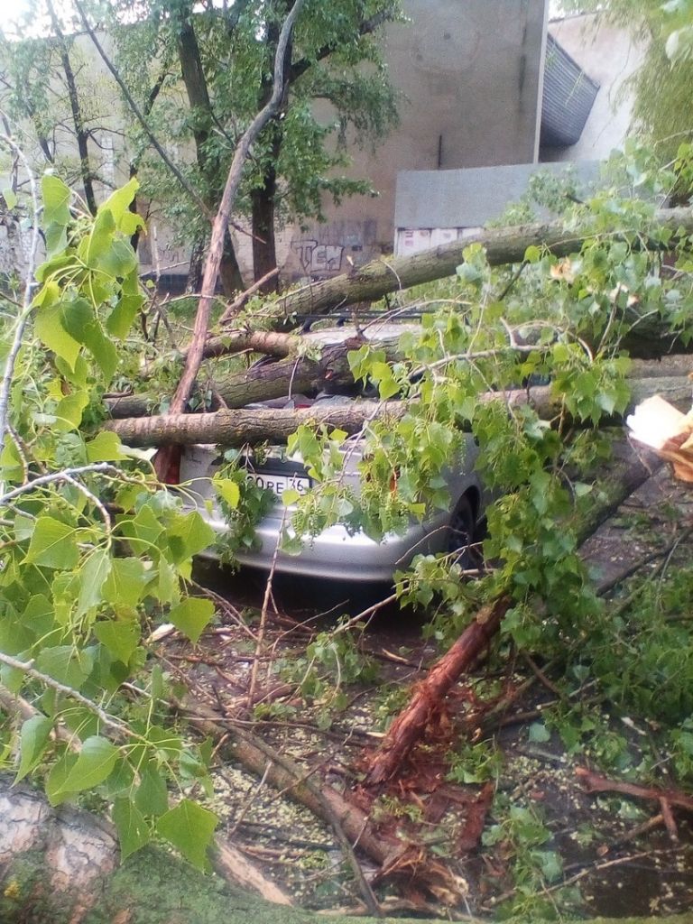 M4wwxXtahrY.jpg M4wwxXtahrY.jpg