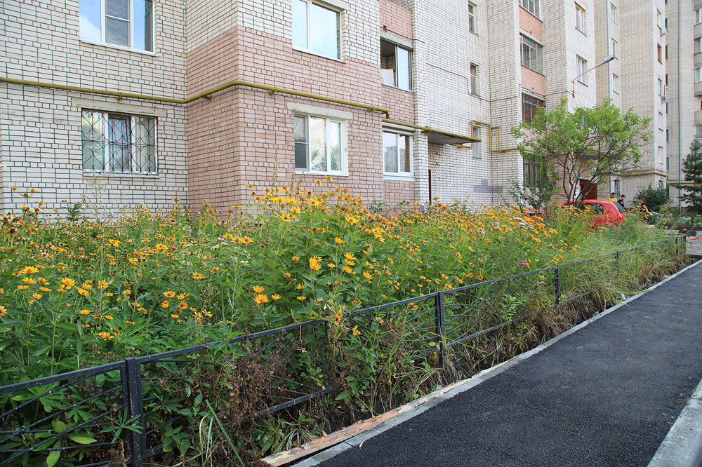 фото 2.jpg фото 2.jpg