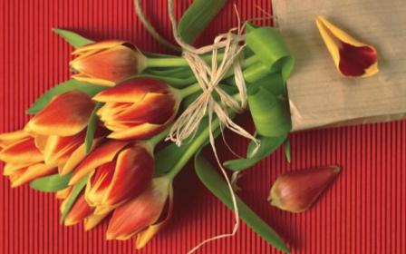 Женские судьбы.JPG