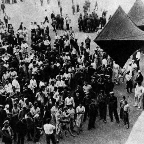 article51908.jpg article51908.jpg