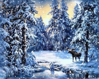 филимонов день.jpeg