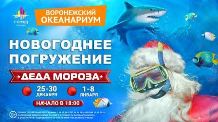 Океанариум погружение Деда мороза.jpg