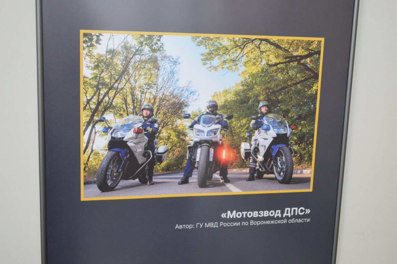 DSC_0767.JPG