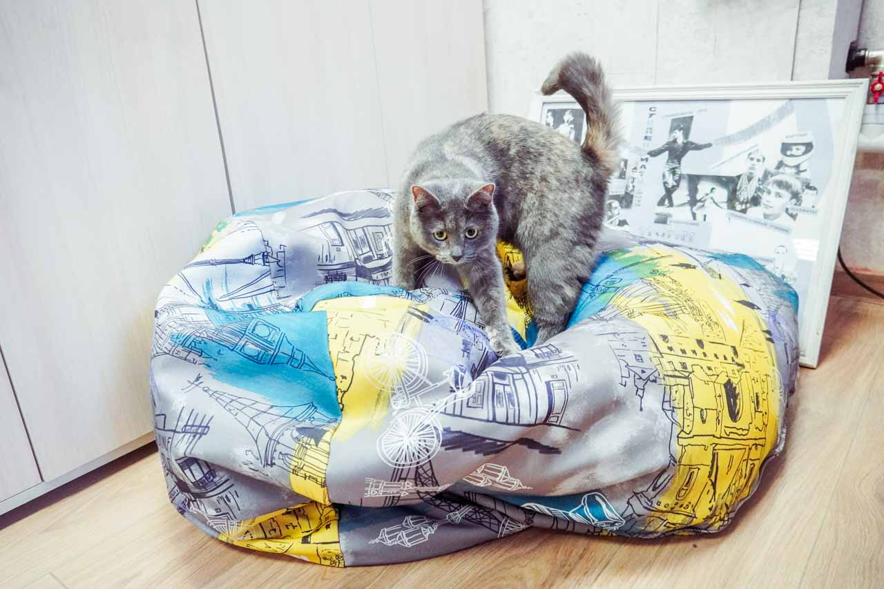 DSC07170.jpg DSC07170.jpg