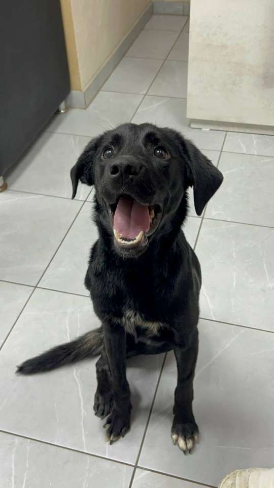 Мармелад после лечения (5).jpg