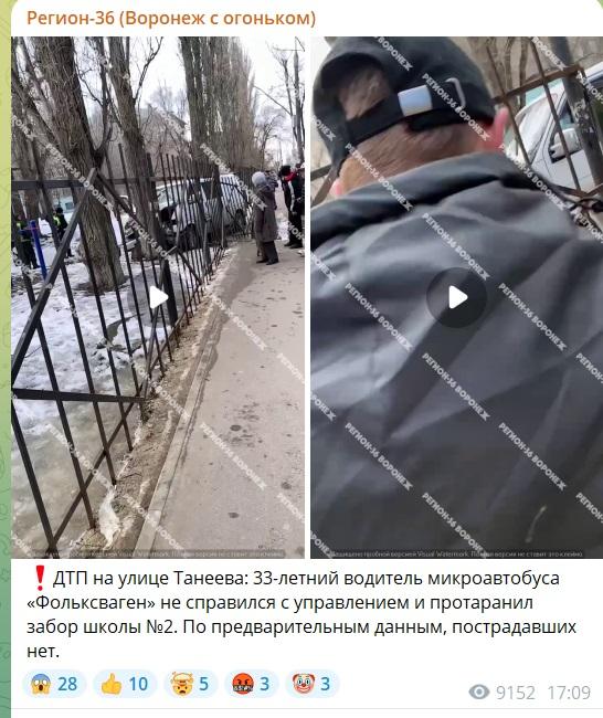 мартышка.jpg мартышка.jpg