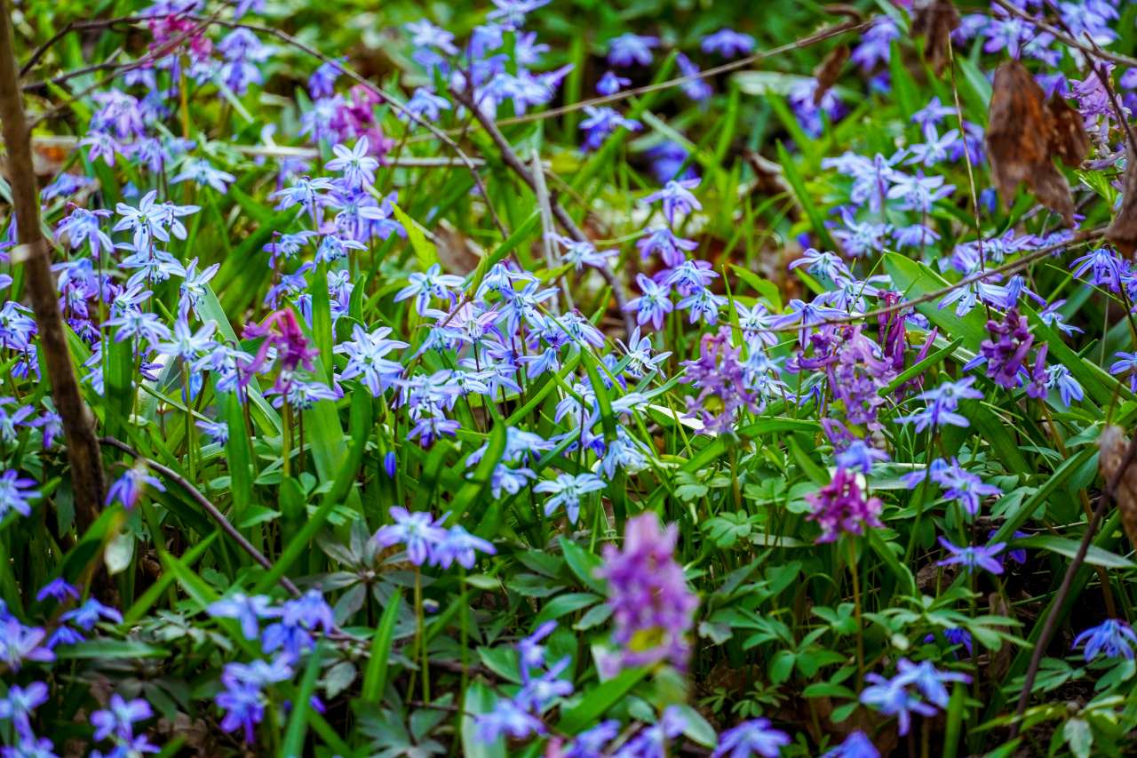 DSC09104.jpg DSC09104.jpg