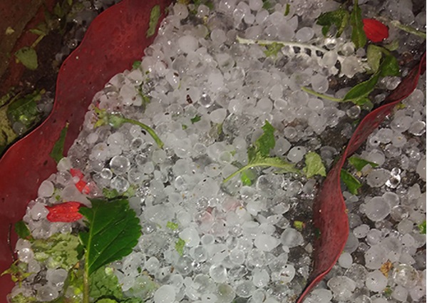 5167-30052021.jpg 5167-30052021.jpg