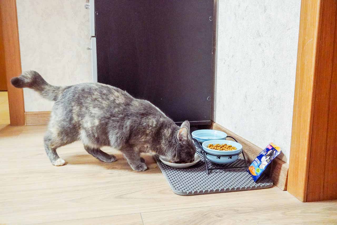 DSC07078.jpg DSC07078.jpg