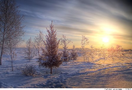 матвеев день 2.jpg