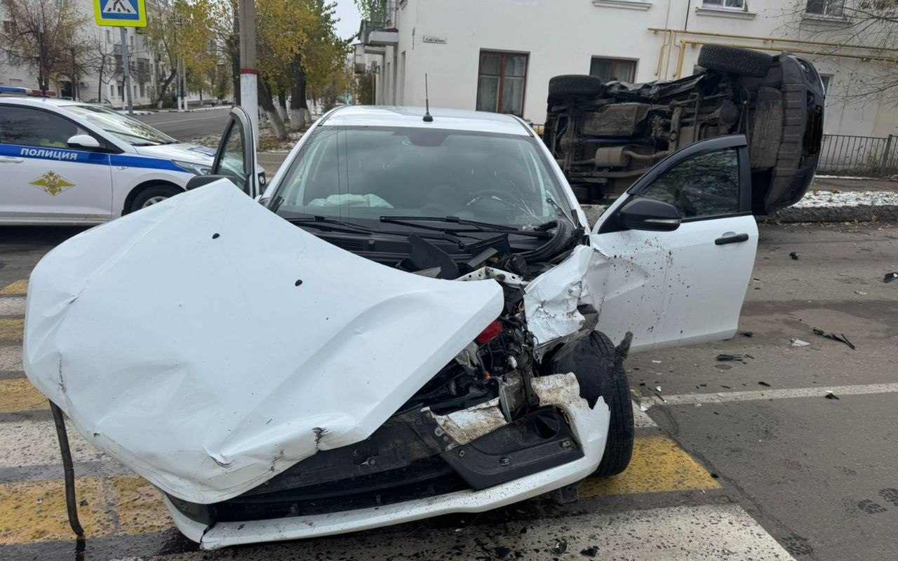 лис1.jpg лис1.jpg