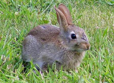 Василий Парильщик.jpg