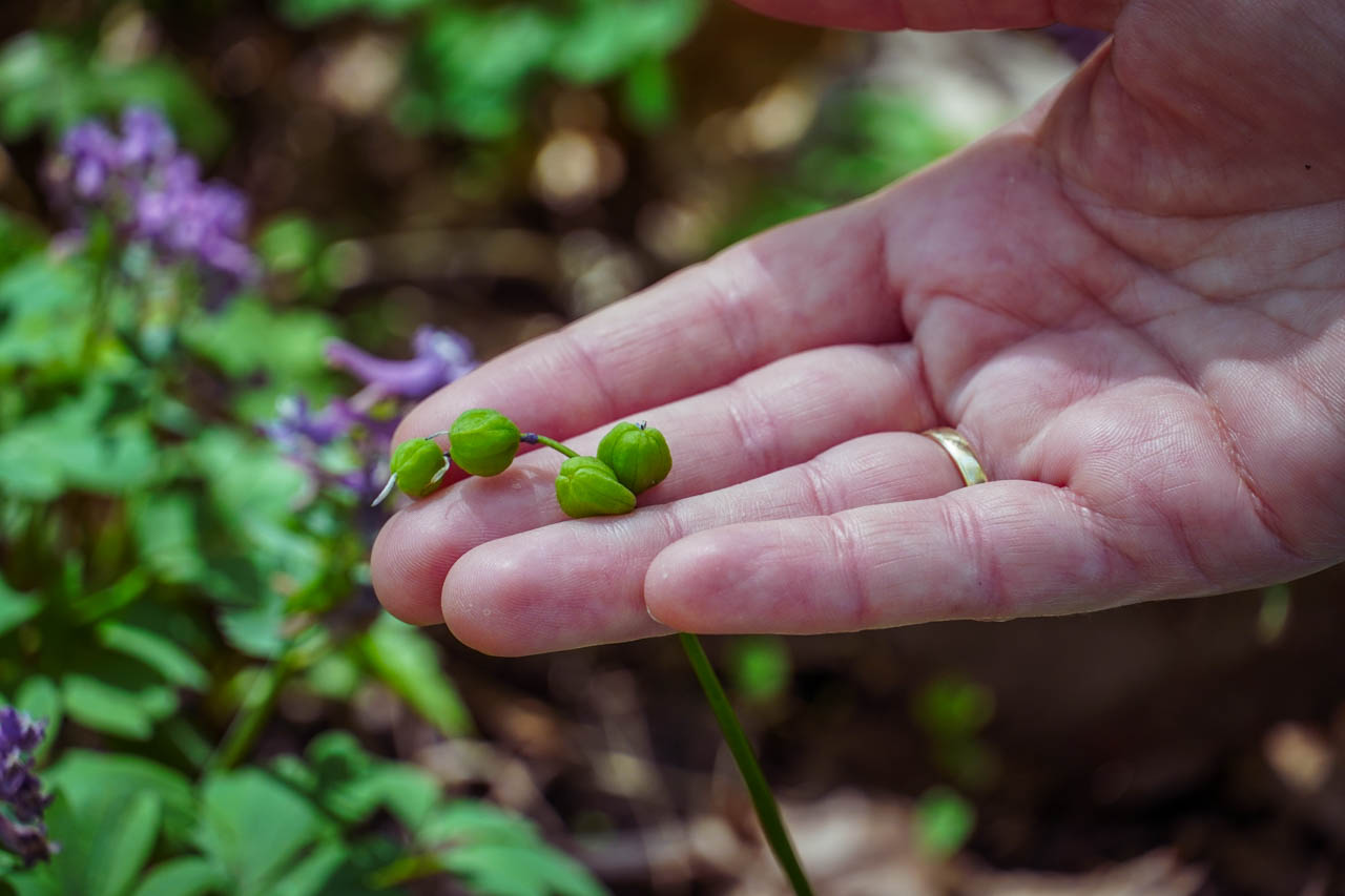 DSC00280.jpg DSC00280.jpg