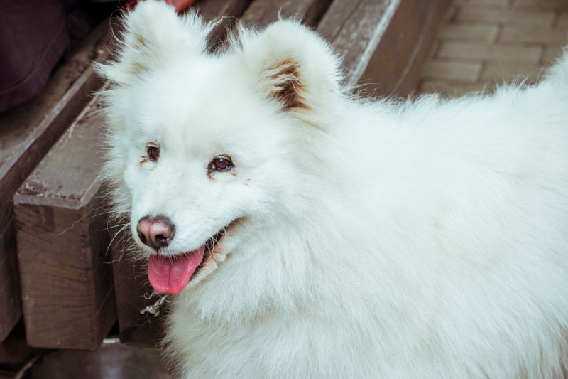 DSC00008.jpg DSC00008.jpg