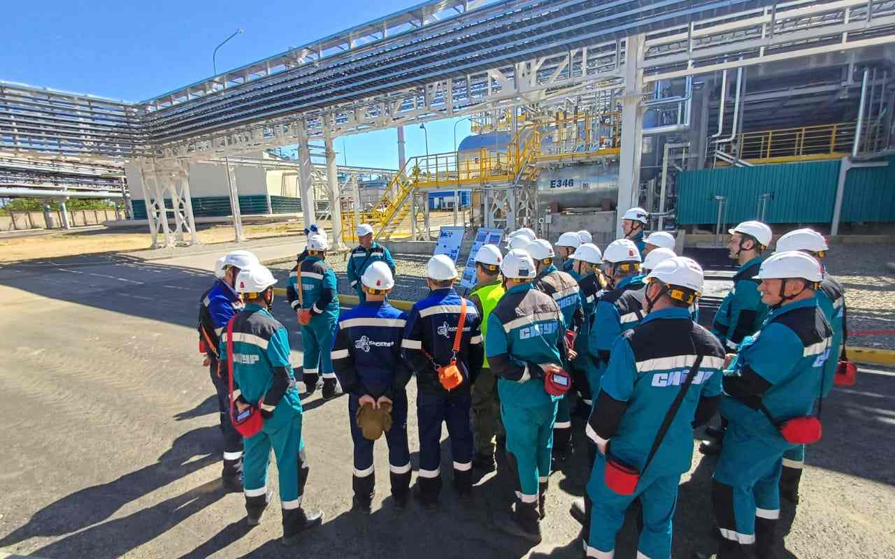 сибр3.jpg сибр3.jpg