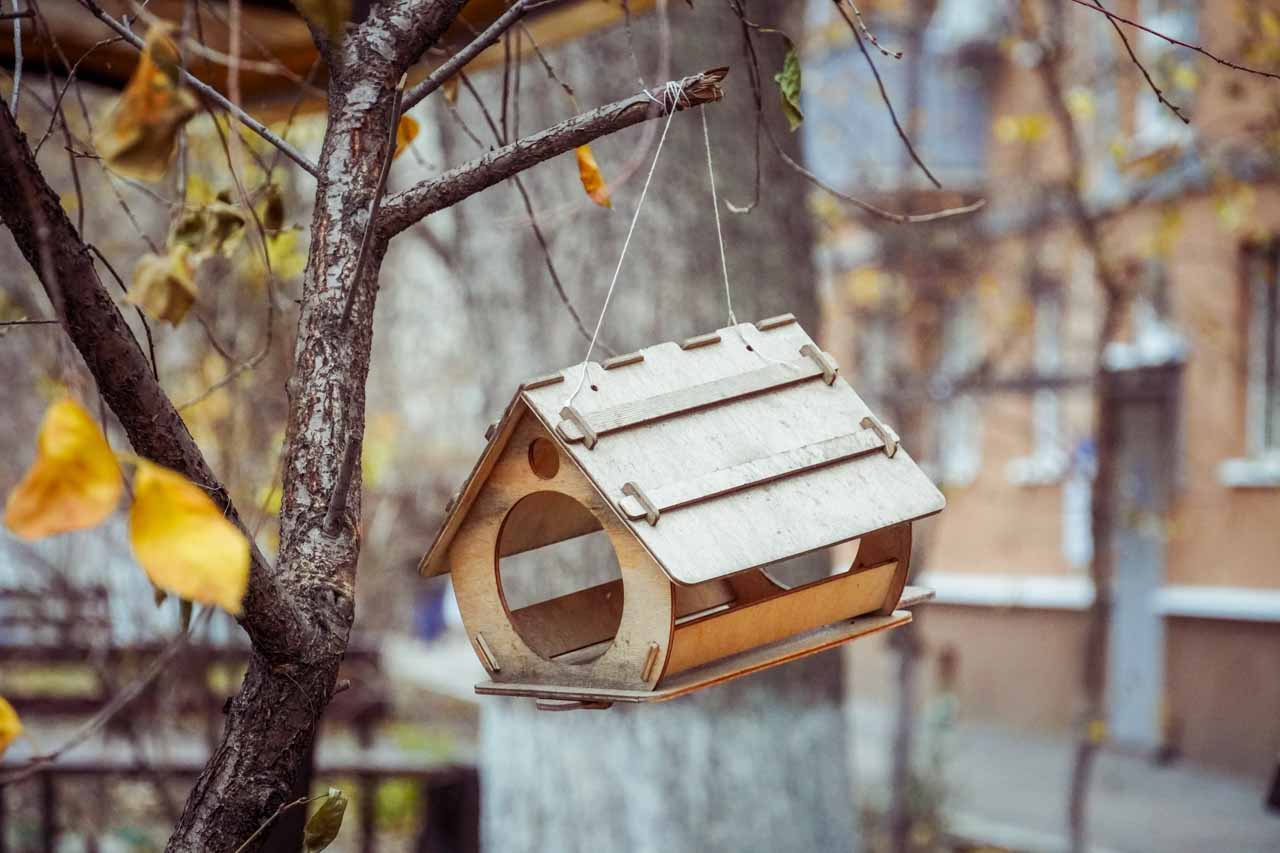 DSC03382.jpg DSC03382.jpg