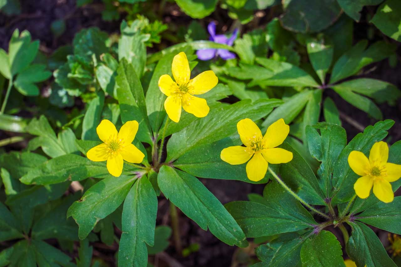 DSC00496.jpg DSC00496.jpg