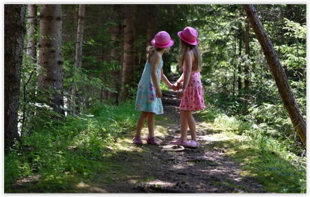 лесными тропинками.PNG