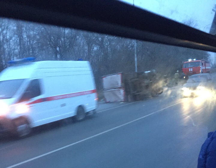 аня горбатова_cr.jpg