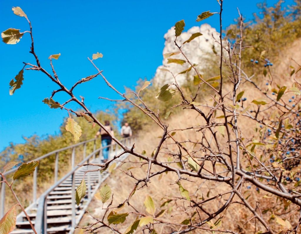 Перед подзагом Нескучный уик энд.jpg Перед подзагом Нескучный уик энд.jpg