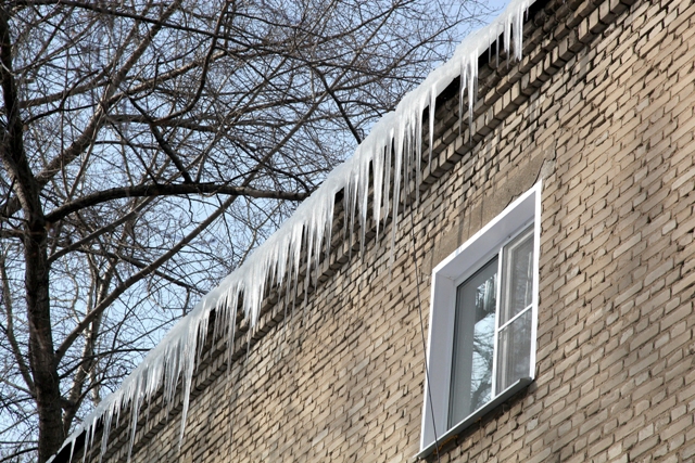 IMG_00000000001 - копия.jpg