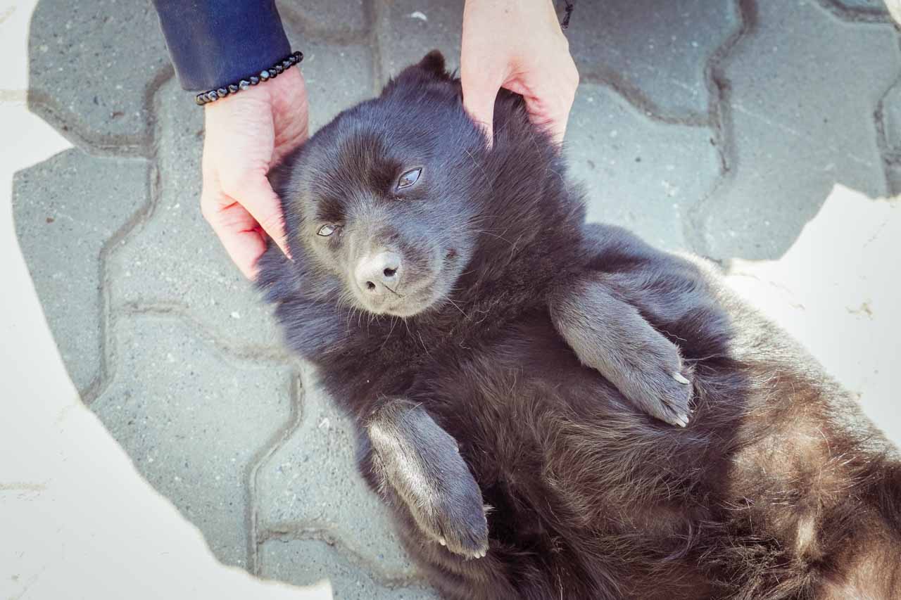 DSC01786.jpg DSC01786.jpg