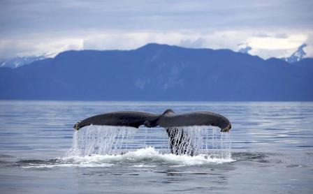 Чтоб были рядом много лет.JPG