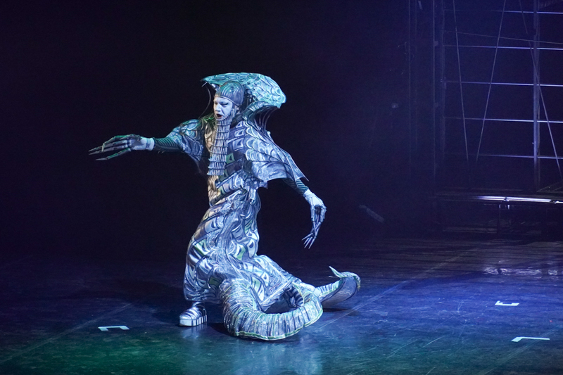 DSC03646.jpg DSC03646.jpg