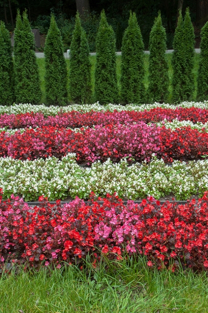 ¦бTВ¦-¦-¦¬TВTМ 4 TД¦-TВ¦-.jpg