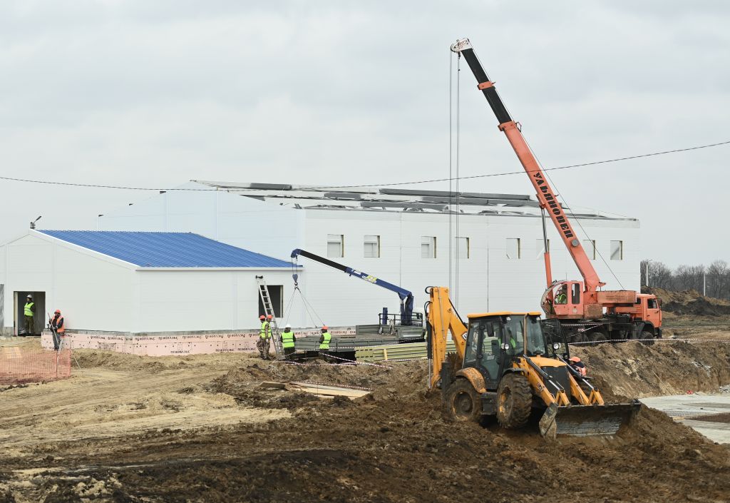 Гусь животноводство.JPG