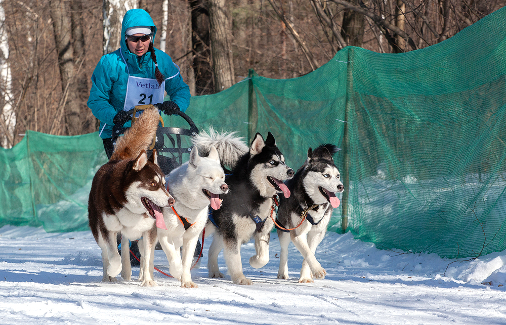 ФОТО 11.jpg ФОТО 11.jpg