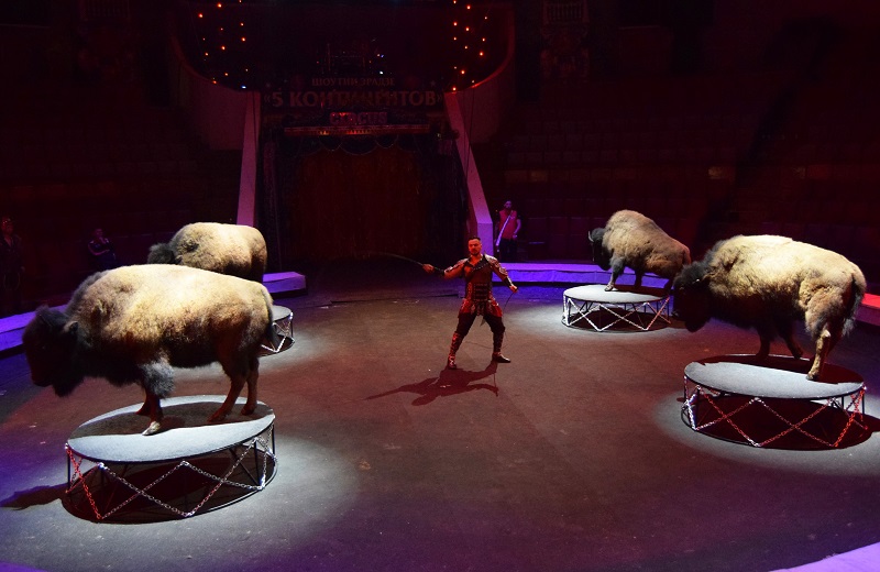 обяз.jpg обяз.jpg