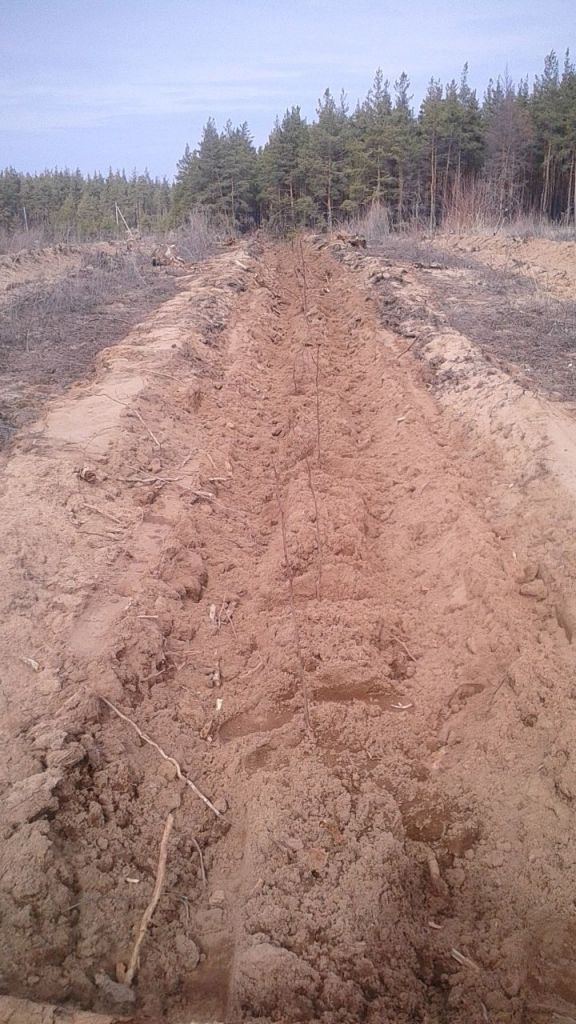 photo_1617272049.jpg photo_1617272049.jpg