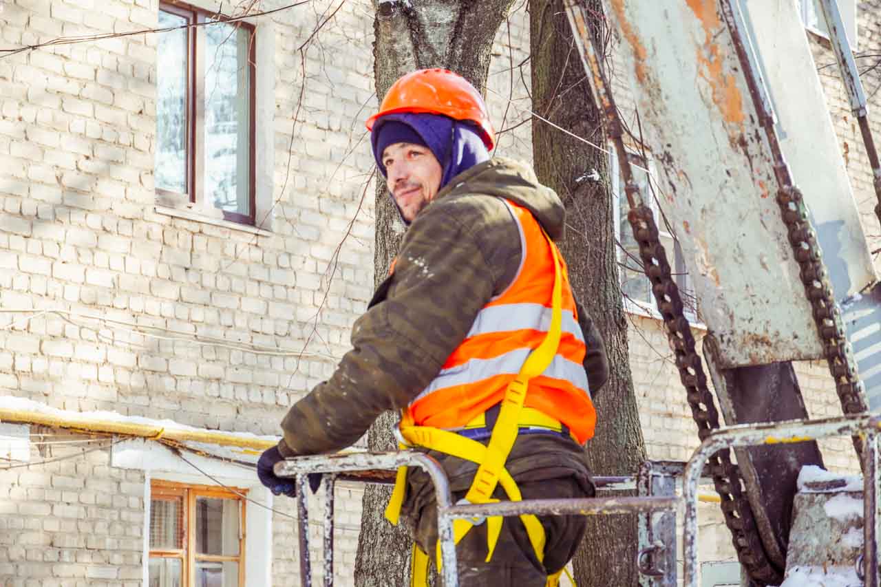 DSC02975.jpg DSC02975.jpg