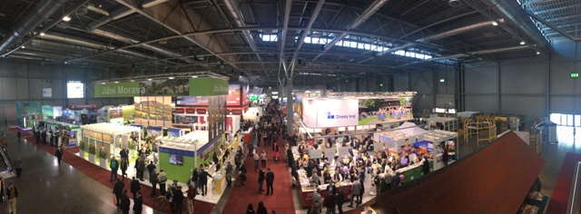 Общий вид выставки.jpeg