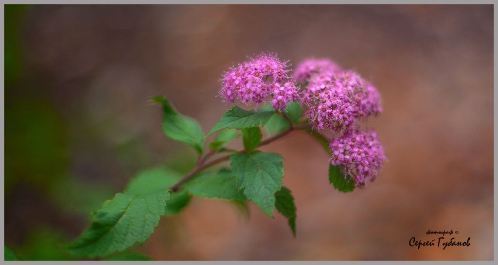 фото 002.jpg фото 002.jpg