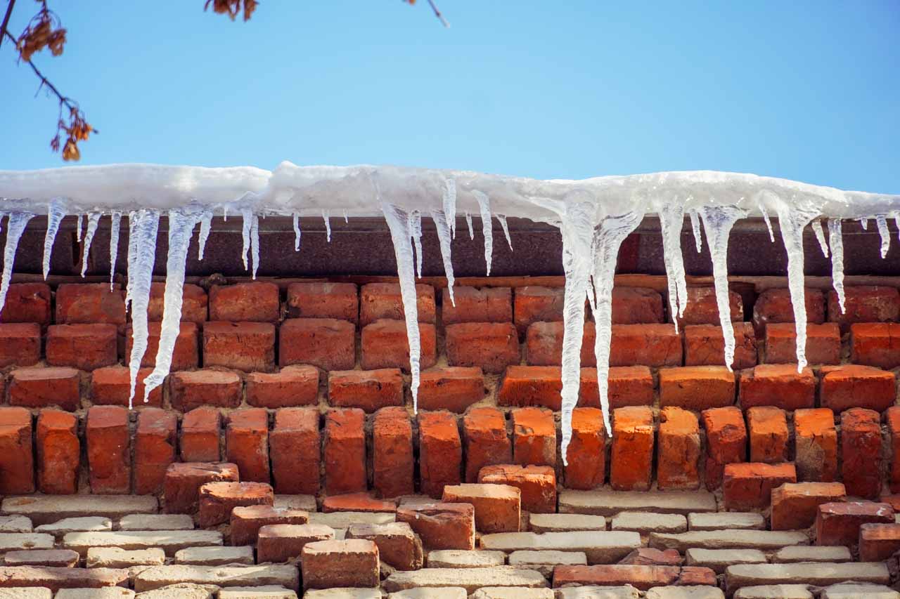 DSC02838.jpg DSC02838.jpg