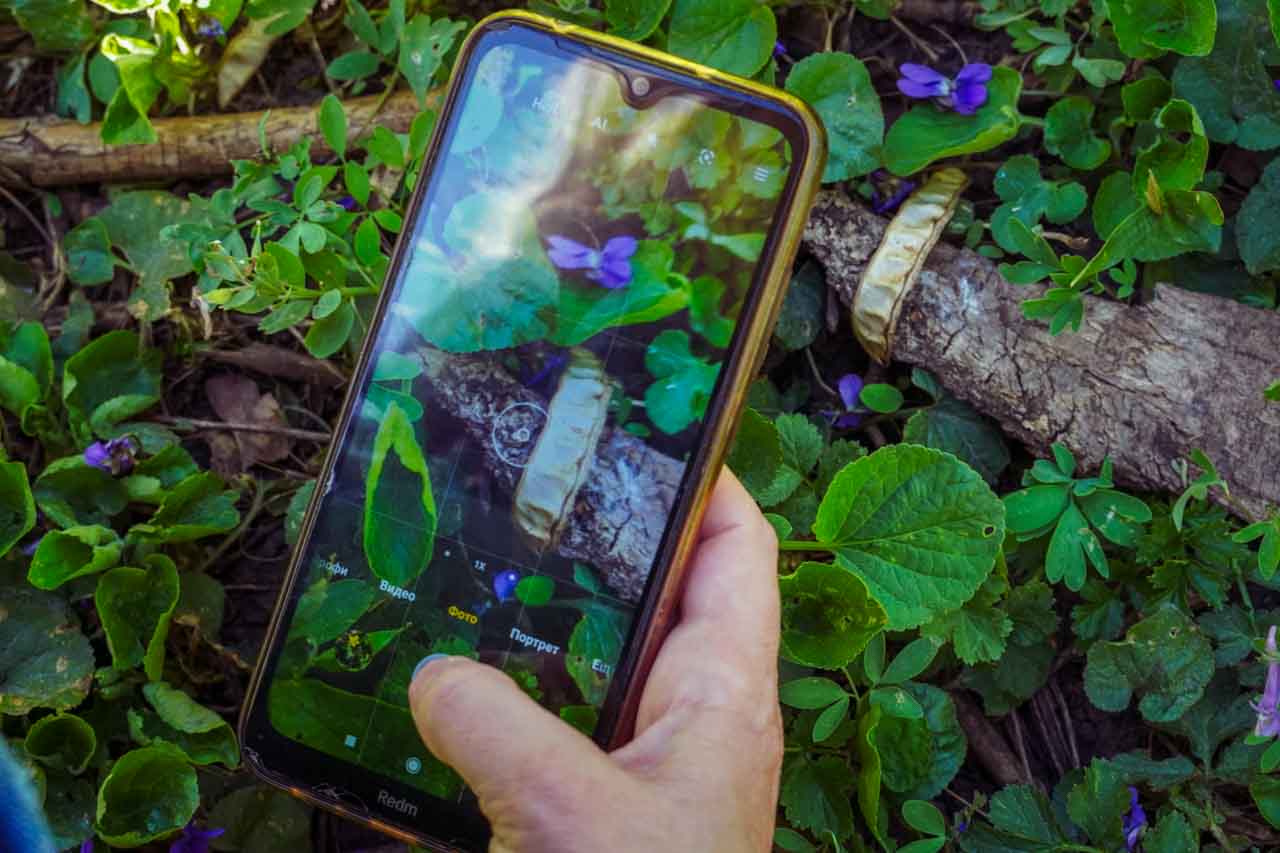 DSC00503.jpg DSC00503.jpg