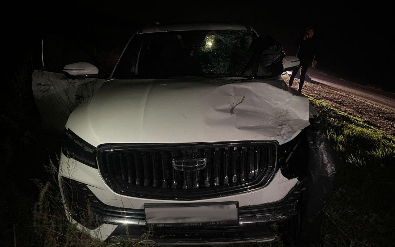 вел1.jpg вел1.jpg