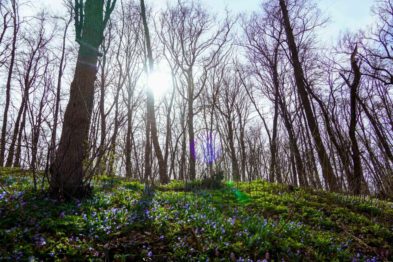 DSC09230.jpg DSC09230.jpg