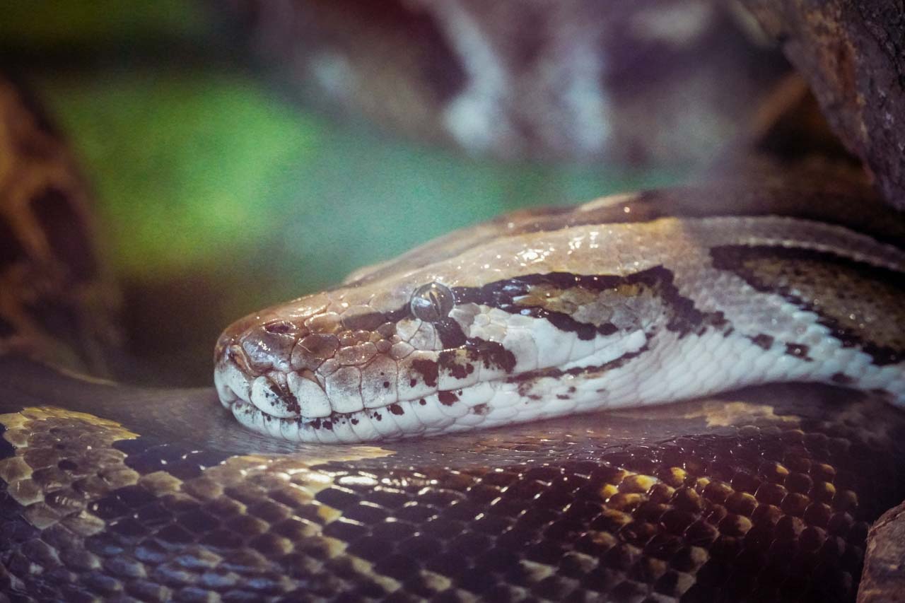 DSC07158.jpg DSC07158.jpg