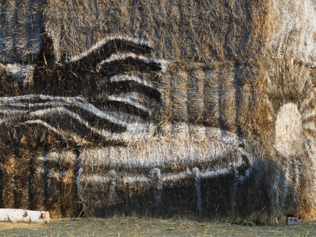 Сено-солома.jpg