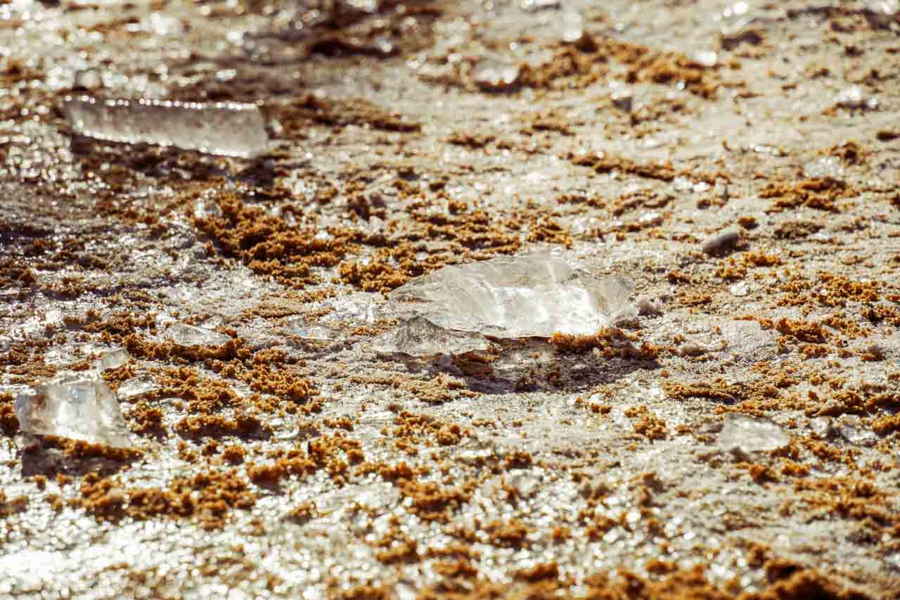 DSC02898.jpg DSC02898.jpg