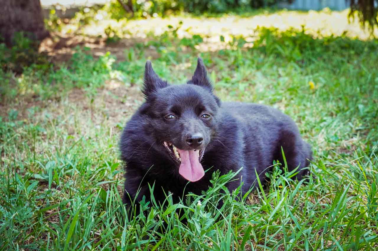 DSC01826.jpg DSC01826.jpg