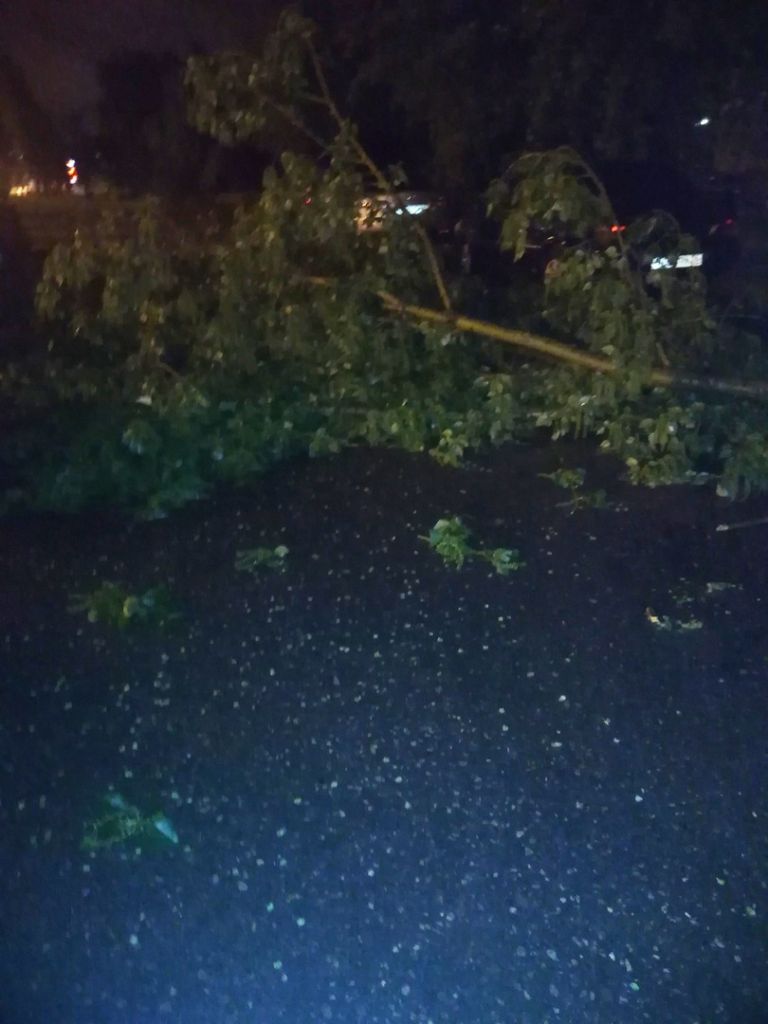 Юлия Смитрнова.jpg Юлия Смитрнова.jpg