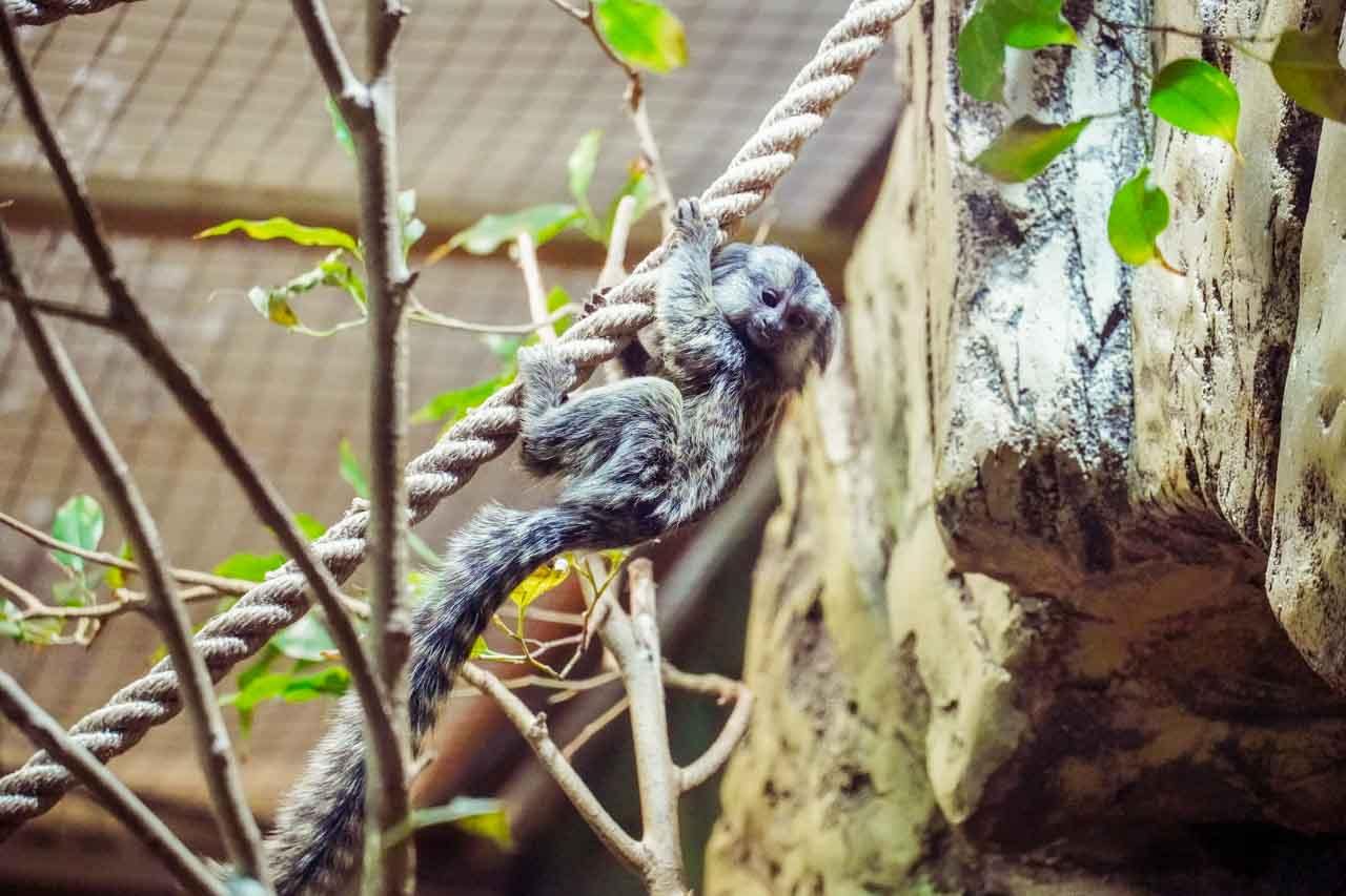 игрунки ребенок.jpg