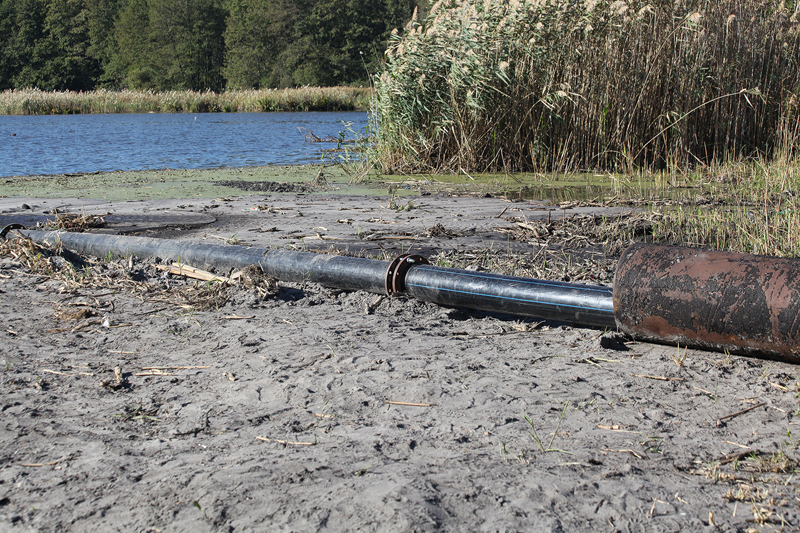 Пень 0001.jpg Пень 0001.jpg